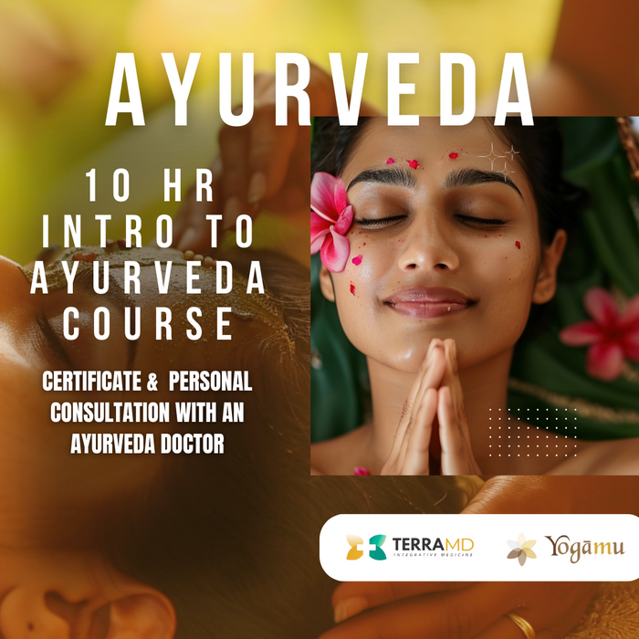 Personal Consultation + Introduction to Ayurveda Course