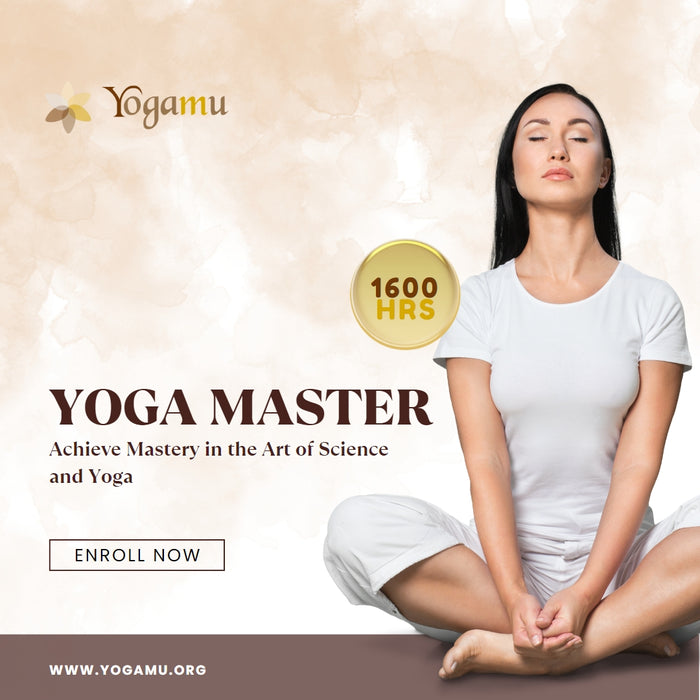 Yoga Master 1600HR